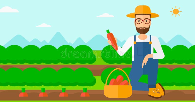 Farmer collecting carrots. stock vector. Illustration of growth - 67025419 Farmer collecting carrots. stock vector. Illustration of growth - 67025419