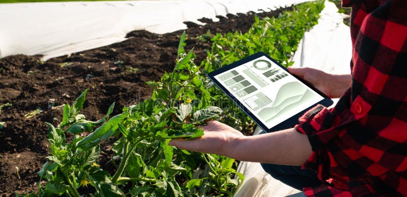 Farmer with digital tablet stock photo. Image of display - 198101990