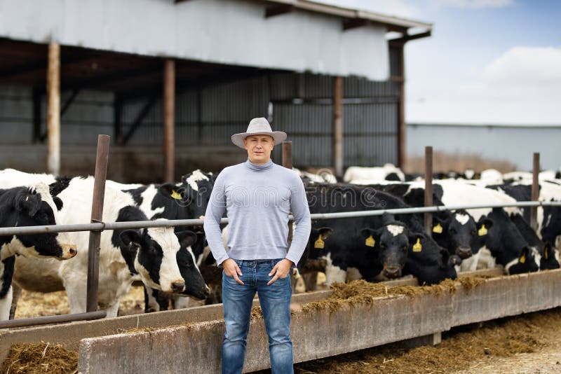 Farmer on farm dairy cows stock image. Image of agriculture 104431035