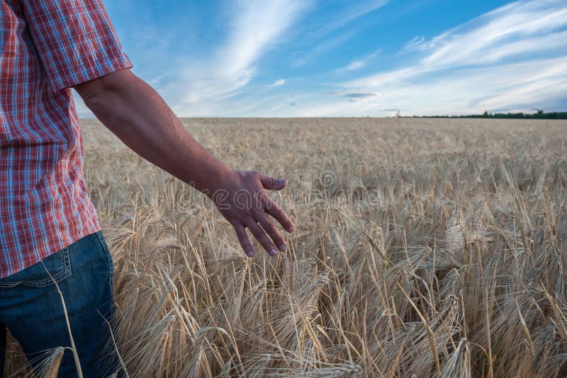 Farmer in field stock photos Farmer in field stock photos