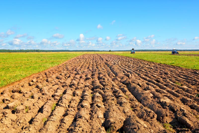 Farmer field royalty free stock image