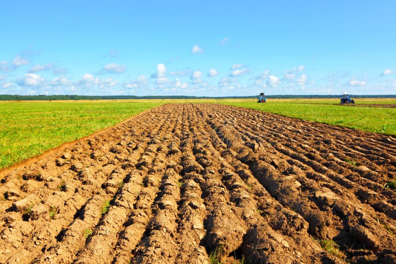 Farmer field royalty free stock images