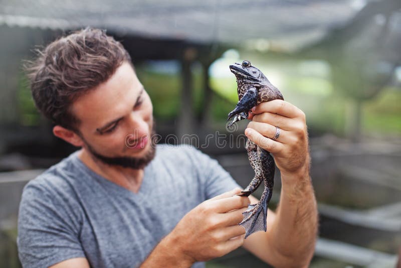 Farmer on frog farm in Bali stock photos Farmer on frog farm in Bali stock photos