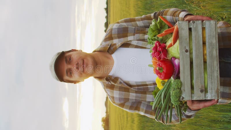 Farmer in front of a sunset agricultural landscape. Man in a countryside field. Country life, food production, farming stock footage