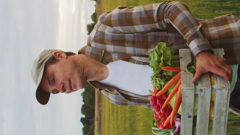 Farmer in front of a sunset agricultural landscape. Man in a countryside field. Country life, food production, farming stock video