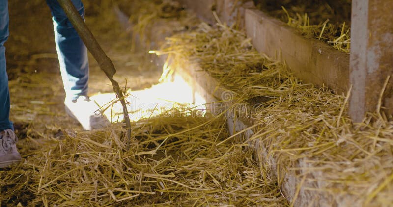 Farmer Gesten beim Schreiben auf Zwischenablage gegen Stall