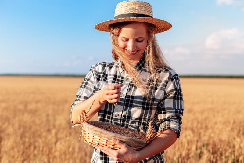 Farmer Girl Holding a Basket of Wheat Staying in the Field Stock Photo ...