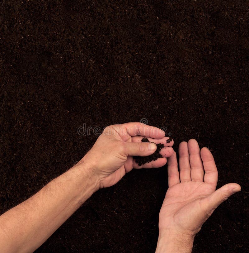 Farmer Hands Checking the Soil on Dark Background Stock Image Image