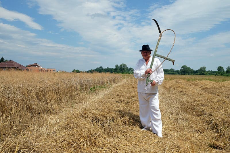 Farmer Harvesting Wheat with Scythe Editorial Photo - Image of corn ...