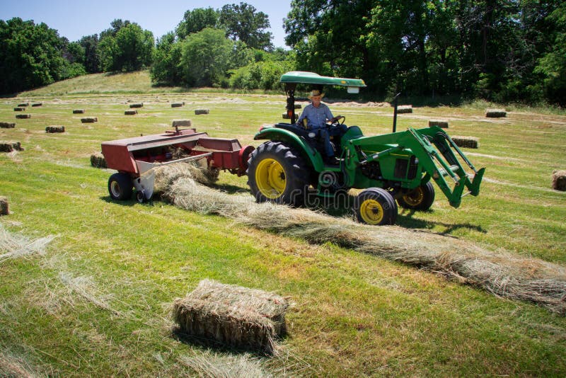 Farmer Haying Field stock photo. Image of rural, field - 31814438