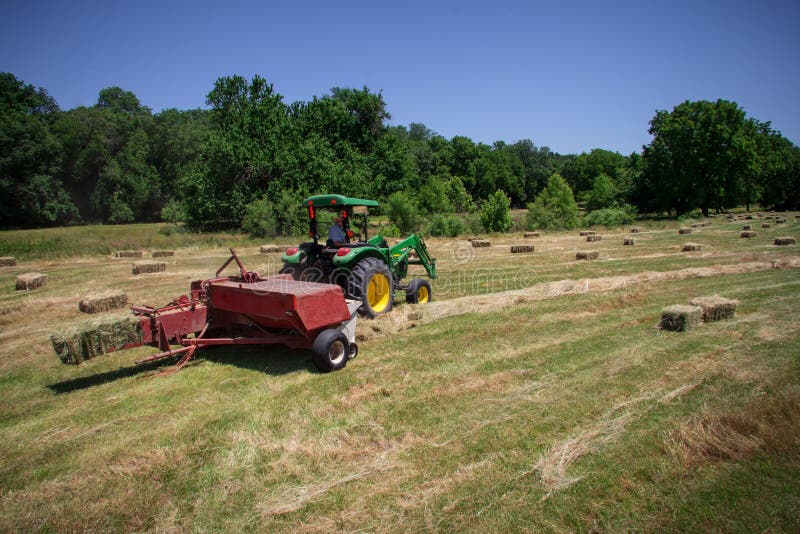 Farmer Haying Field stock image. Image of grass, farm - 31814535