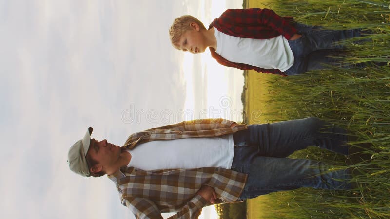 Farmer and his son in front of a sunset agricultural landscape. Man and a boy in a countryside field. Fatherhood stock video