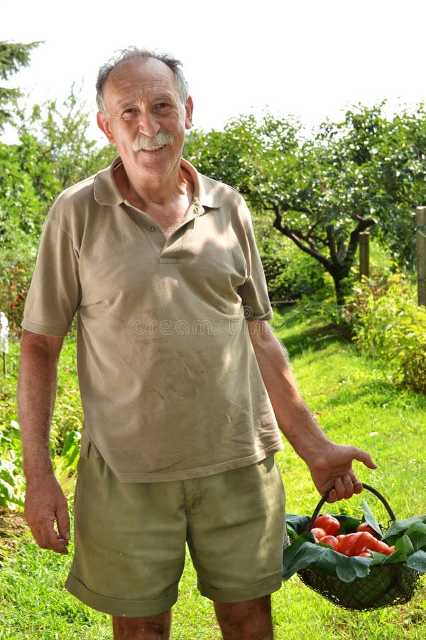 Farmer holding tomatoes stock photo. Image of farmer - 59784582