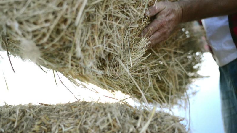 Farmer man with straw bales