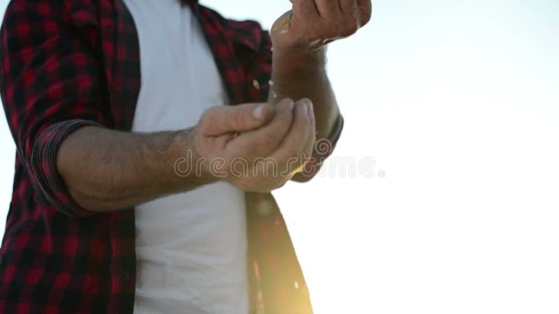 Farmer man with straw bales