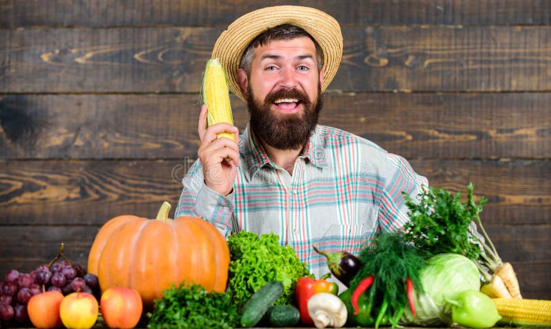 Farmer with organic homegrown vegetables. Grow organic crops. Community gardens and farms. Healthy lifestyle. Homegrown royalty free stock photography Farmer with organic homegrown vegetables. Grow organic crops. Community gardens and farms. Healthy lifestyle. Homegrown royalty free stock photography