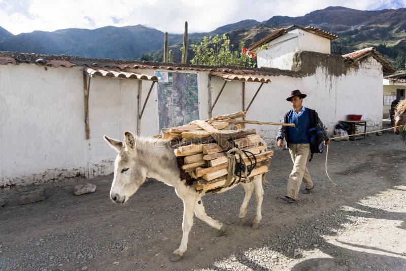 Farmer in Peru stock photography Farmer in Peru stock photography