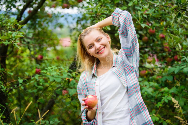 Farmer picking ripe fruit from tree. Harvesting season concept. Woman hold apple garden background. Farm produce organic