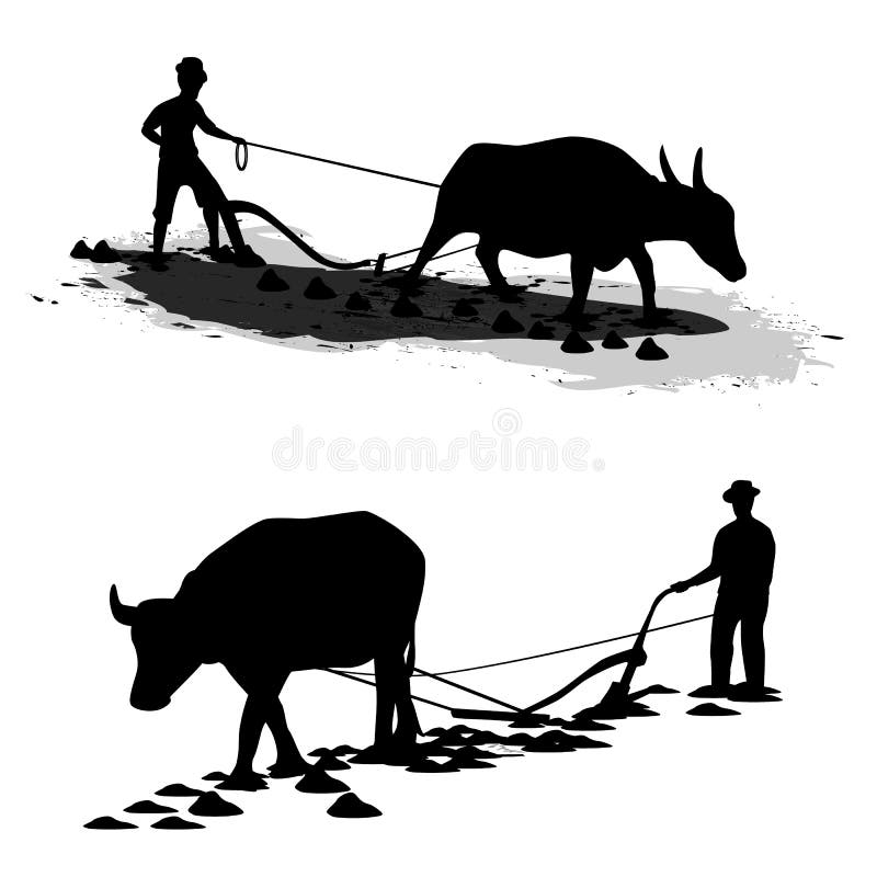 Farmer plowing in paddy field design. Blue buffalo vectors