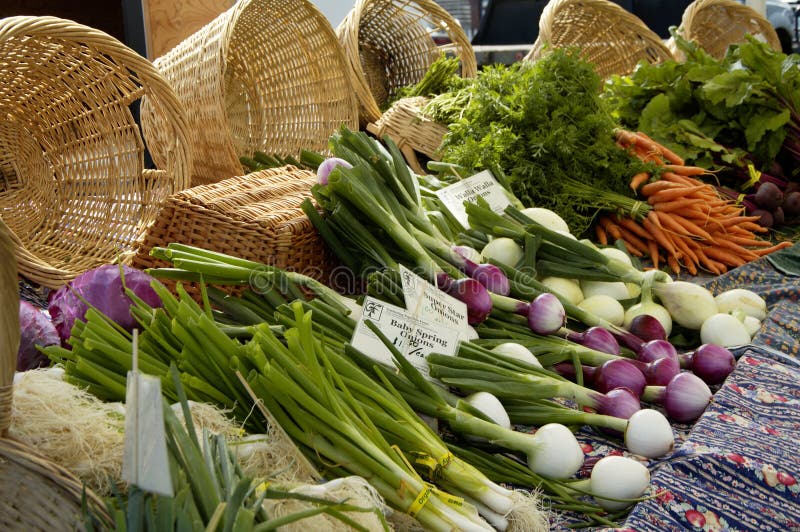 Un adulto una zanahoria, cebolla prensas sobre el Mostrar sobre el agricultores El mercado en condición.