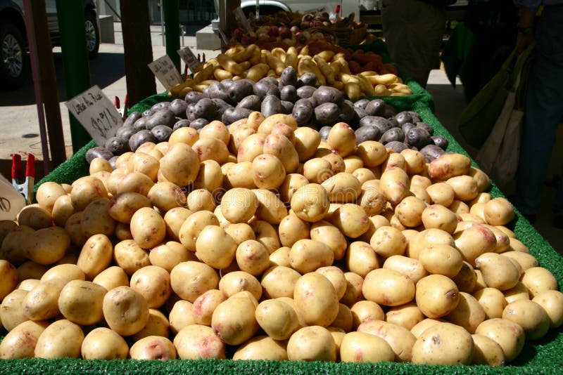 Farmer s Market Potatoes stock photo. Image of organic 4932746