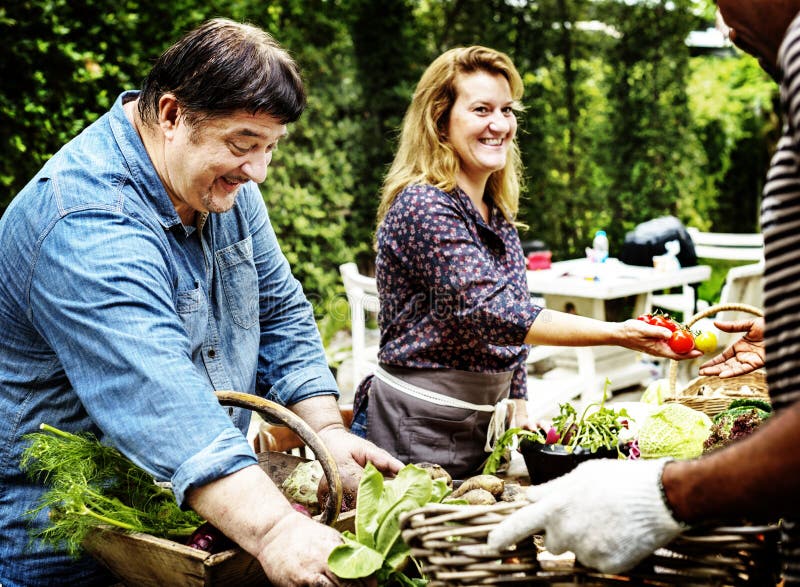 Farmer`s market vegetable concept