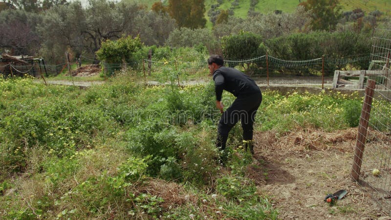 Farmer With Scissors Cutting Off The Grass stock video footage