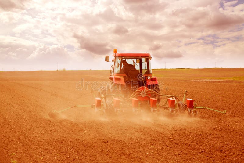 Farmer sowing crops at field