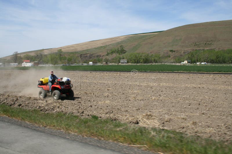 Farmer spraying weeds stock photography