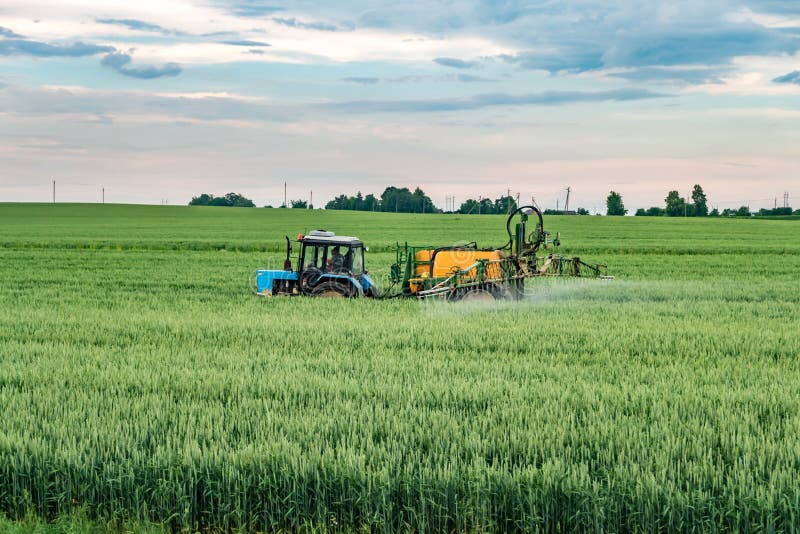 Farmer spraying wheat field with tractor sprayer at spring season.