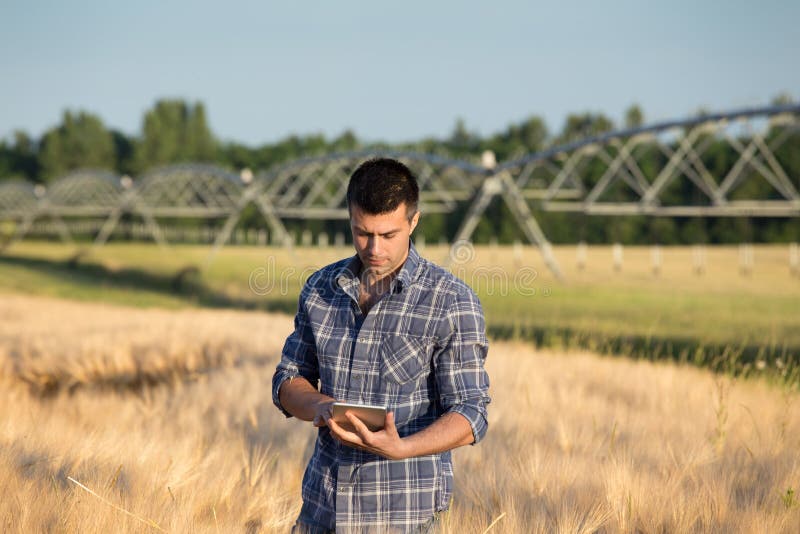 Farmer with tablet in field