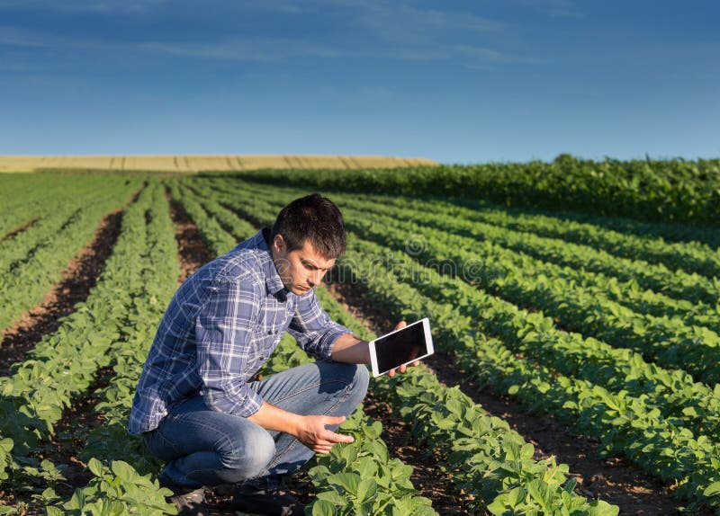 Farmer with tablet in soybean field