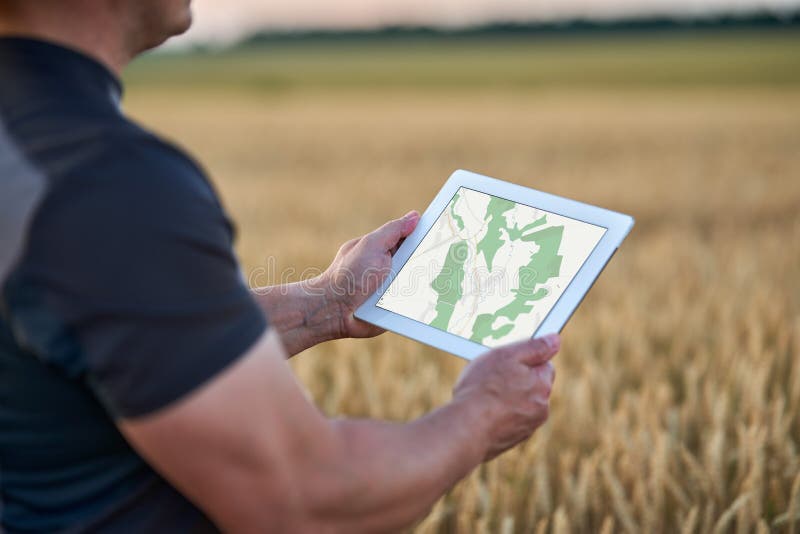 Farmer with a tablet checking the state of his wheat culture. Field checking barley stock images, royalty-free photos and pictures