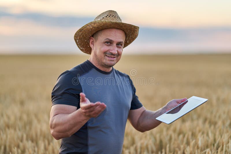 Farmer with a tablet checking the state of his wheat culture. Field checking barley stock images, royalty-free photos and pictures