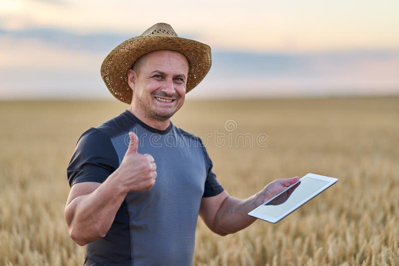 Farmer with a tablet checking the state of his wheat culture. Field checking barley stock images, royalty-free photos and pictures
