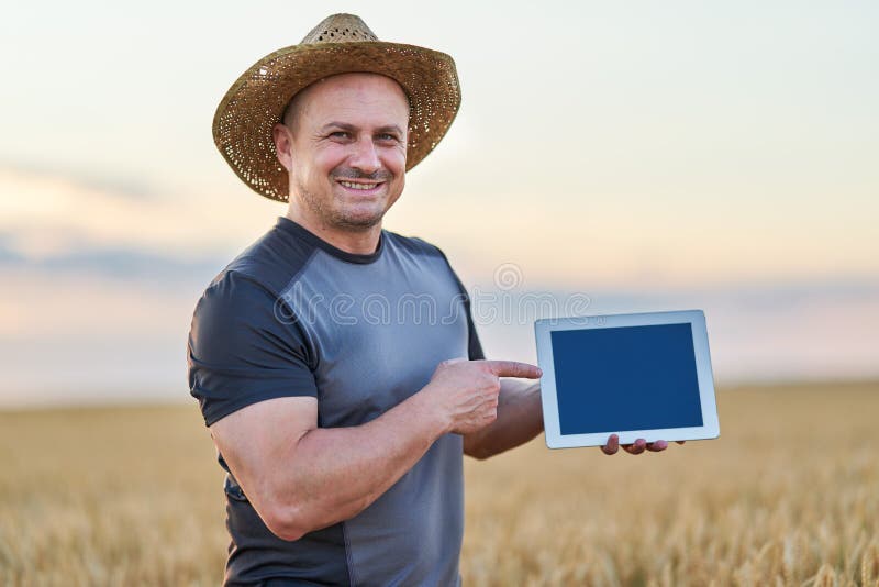Farmer with a tablet checking the state of his wheat culture. Field checking barley stock images, royalty-free photos and pictures