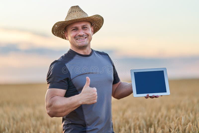 Farmer with a tablet checking the state of his wheat culture. Field checking barley stock images, royalty-free photos and pictures