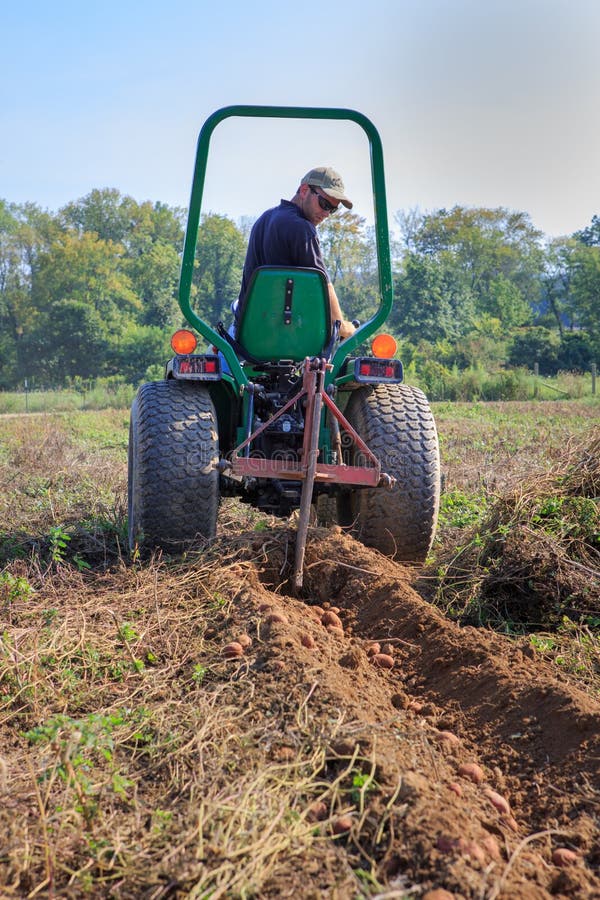 Farmer Tilling Field Harvesting Potatoes Virginia. Vertical of unknown farmer on tractor in field tilling potatoes for harvest illustrating agricultural work and stock photography Farmer Tilling Field Harvesting Potatoes Virginia. Vertical of unknown farmer on tractor in field tilling potatoes for harvest illustrating agricultural work and stock photography