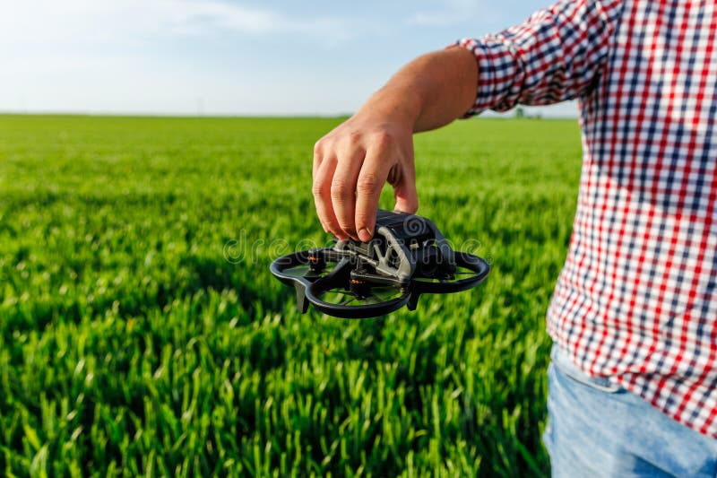 Farmer holding drone over green wheat field for smart farming royalty free stock photo