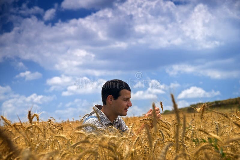 Agricultor de pie en trigo.