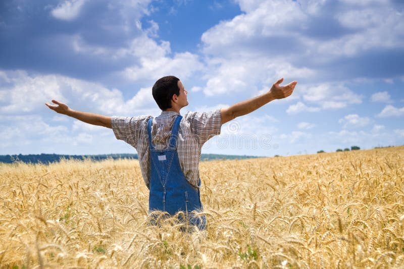 Farmer in a wheat field