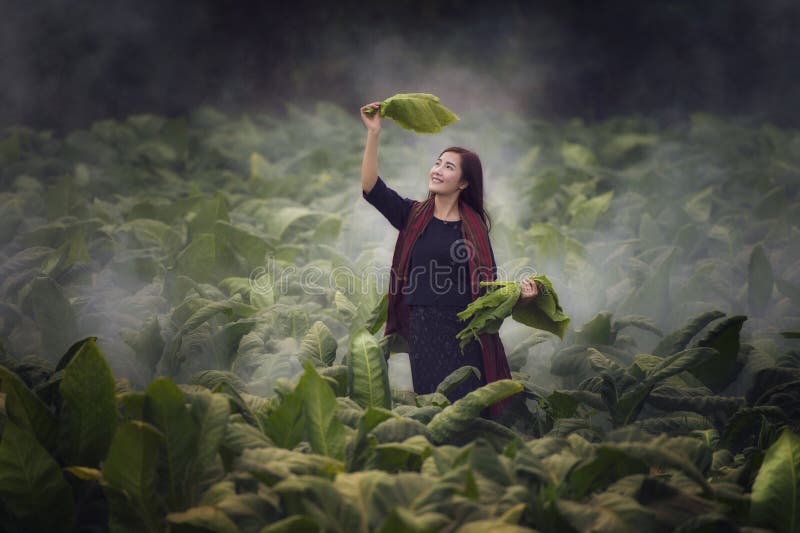 Farmer woman stock photos Farmer woman stock photos
