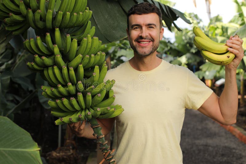 Farmer working in a banana plantation stock images