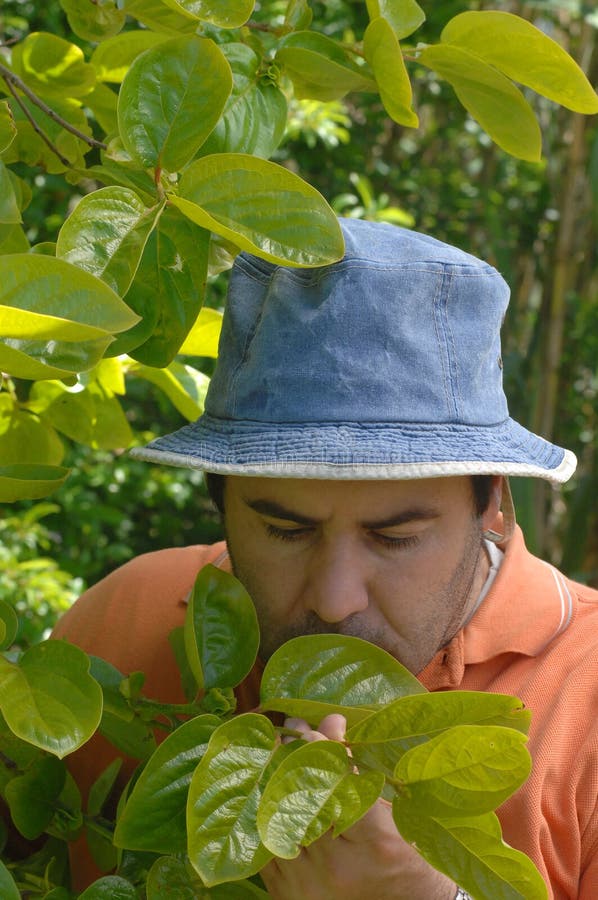 Farmer working on the farm