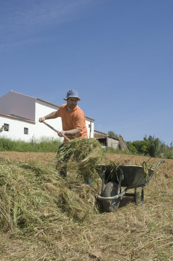 Farmer working on the farm