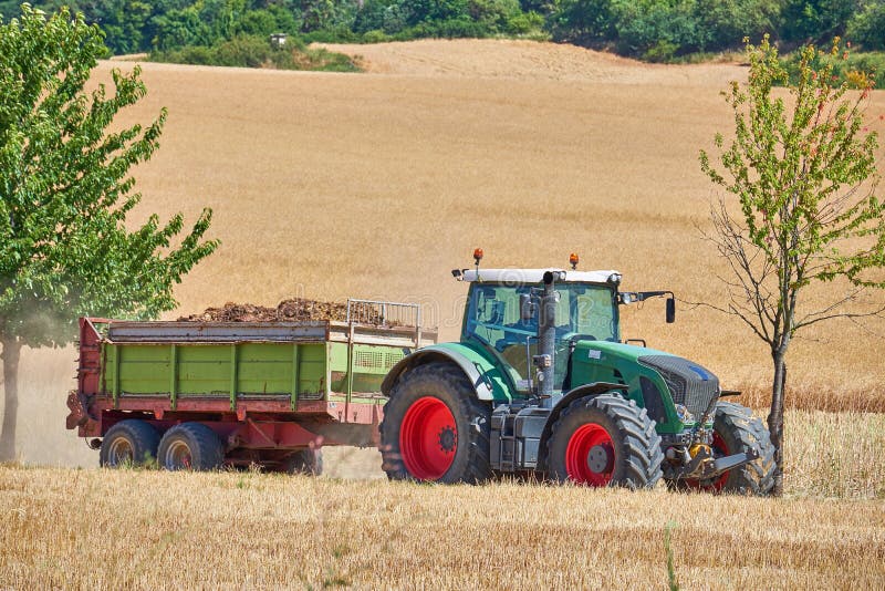 A farmers green tractor with red wheels framed between two trees driving through a wheat field pulling a trailer back to the shed royalty free stock photos A farmers green tractor with red wheels framed between two trees driving through a wheat field pulling a trailer back to the shed royalty free stock photos