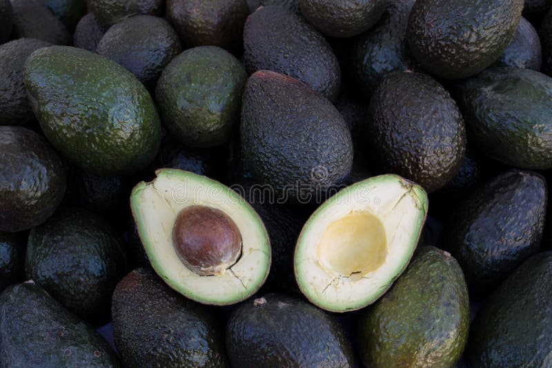 Farmers Market Avocados stock photo. Image of photo - 127828358