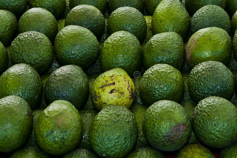 Farmers Market at Barnsdall Park