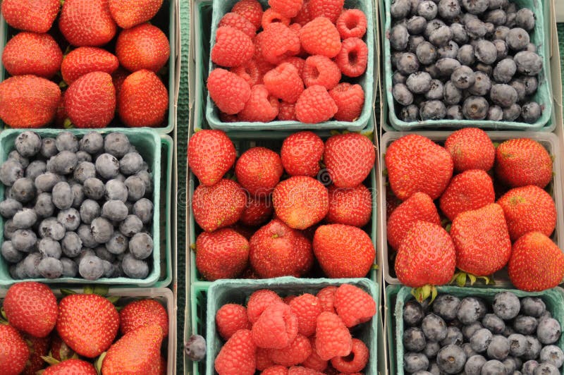 Farmers market berries stock image. Image of fruit, flavorful 33684681