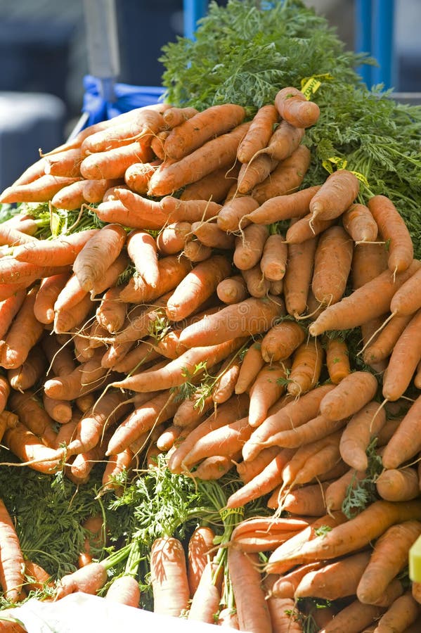 Farmers Market fresh carrots